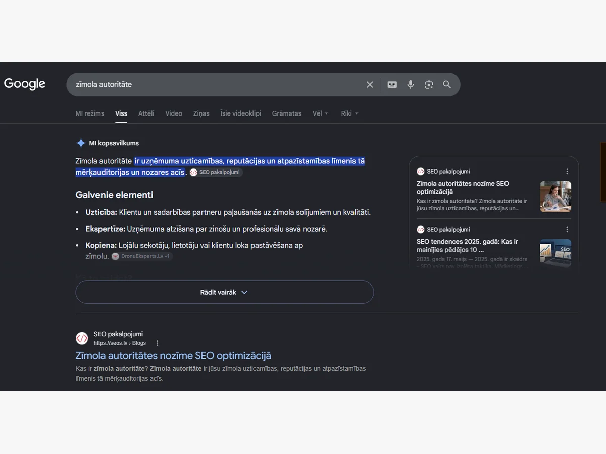 Google MI kopsavilkums citē seos.lv zīmola autoritātes definīciju